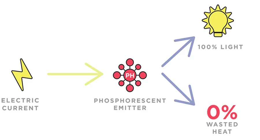 PHOLED vs OLED: Understanding the Differences and Advantages ...